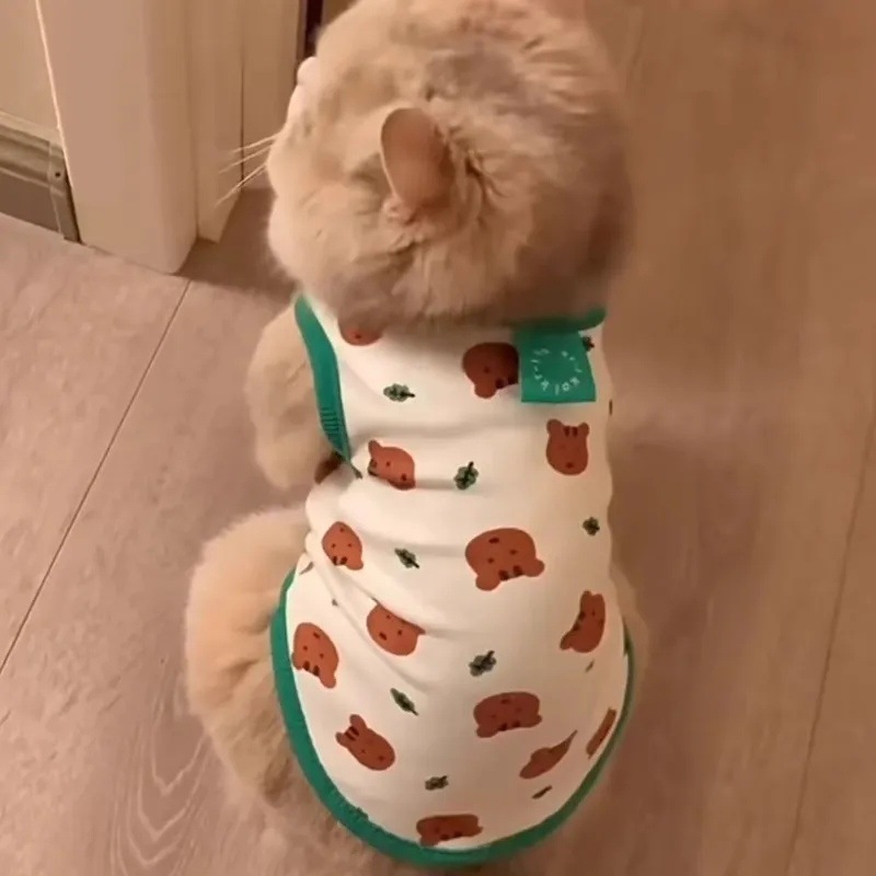 6a7041a6-2c55-4a0c-a586-d1abd5553e71.jpe