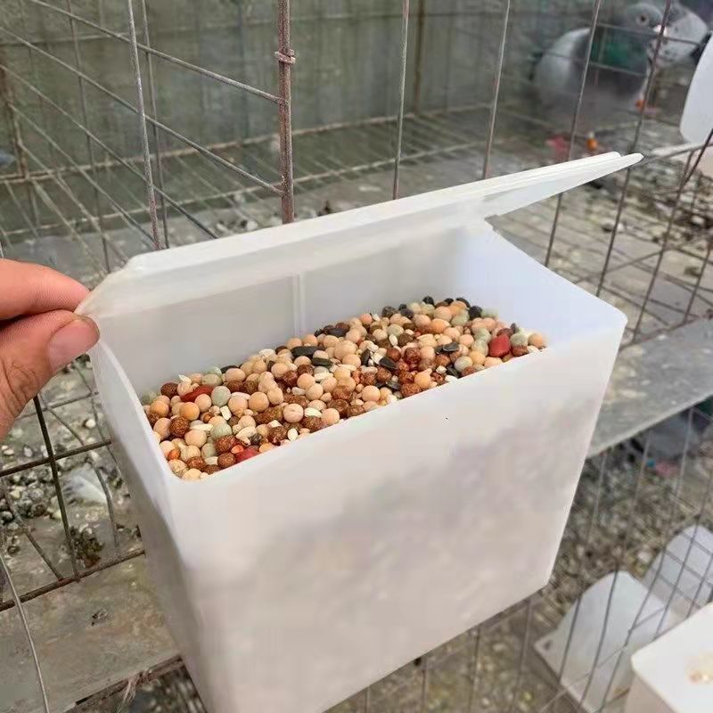 d28054c3-48dc-4286-ad4b-0e050be8f73d.jpe