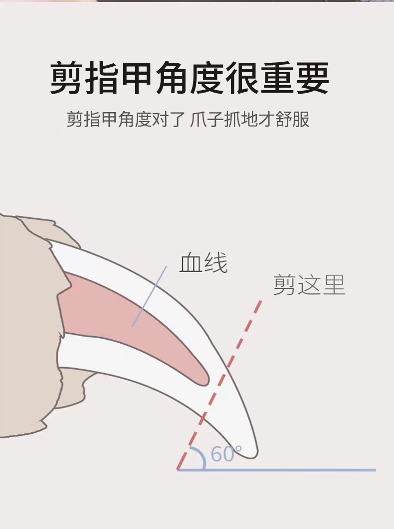 微信图片_20221010103637
