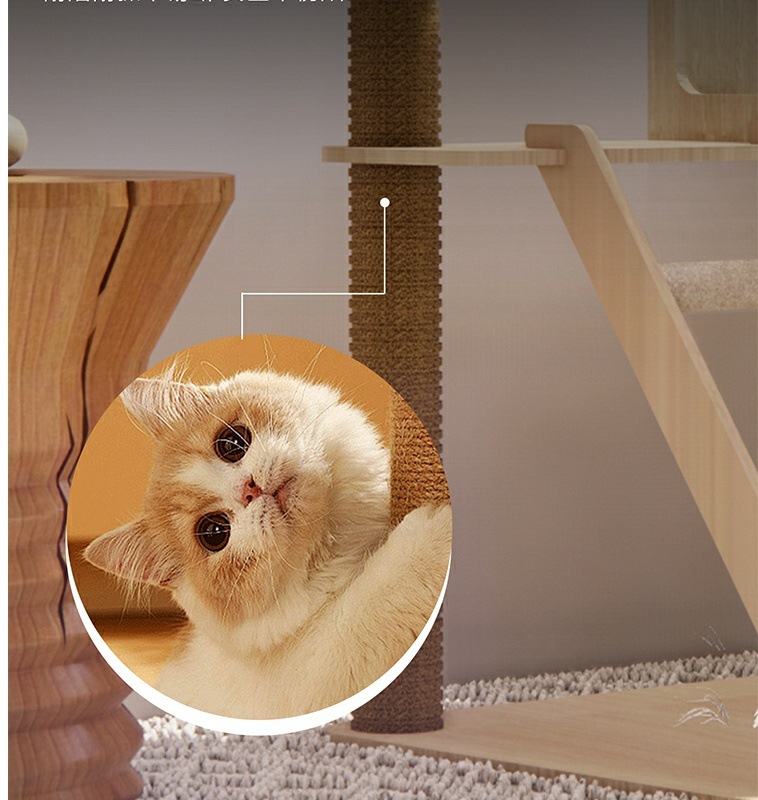 ecb62bfc-e7c2-4118-9e3d-37af19c83b66.jpe