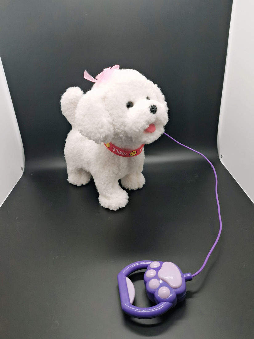 吐舌比熊