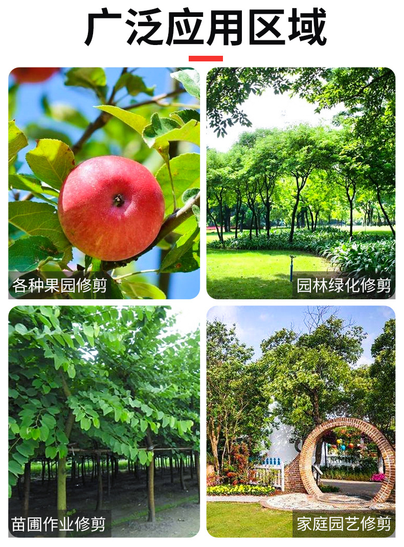 详情正确_19.jpg