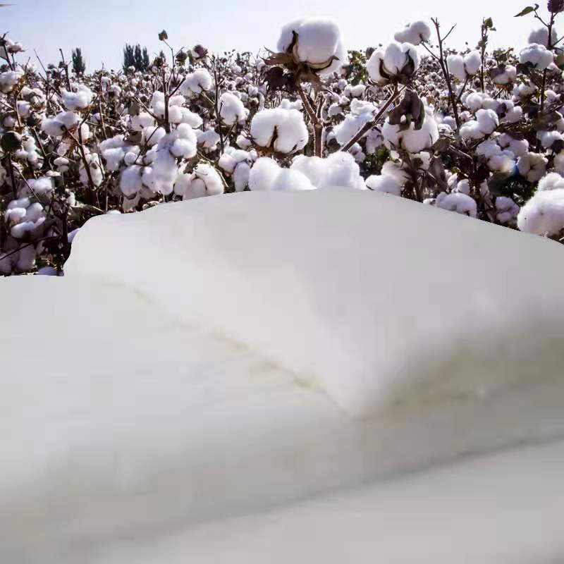 2fe42691-80a5-4518-95ec-931e212af933.jpe