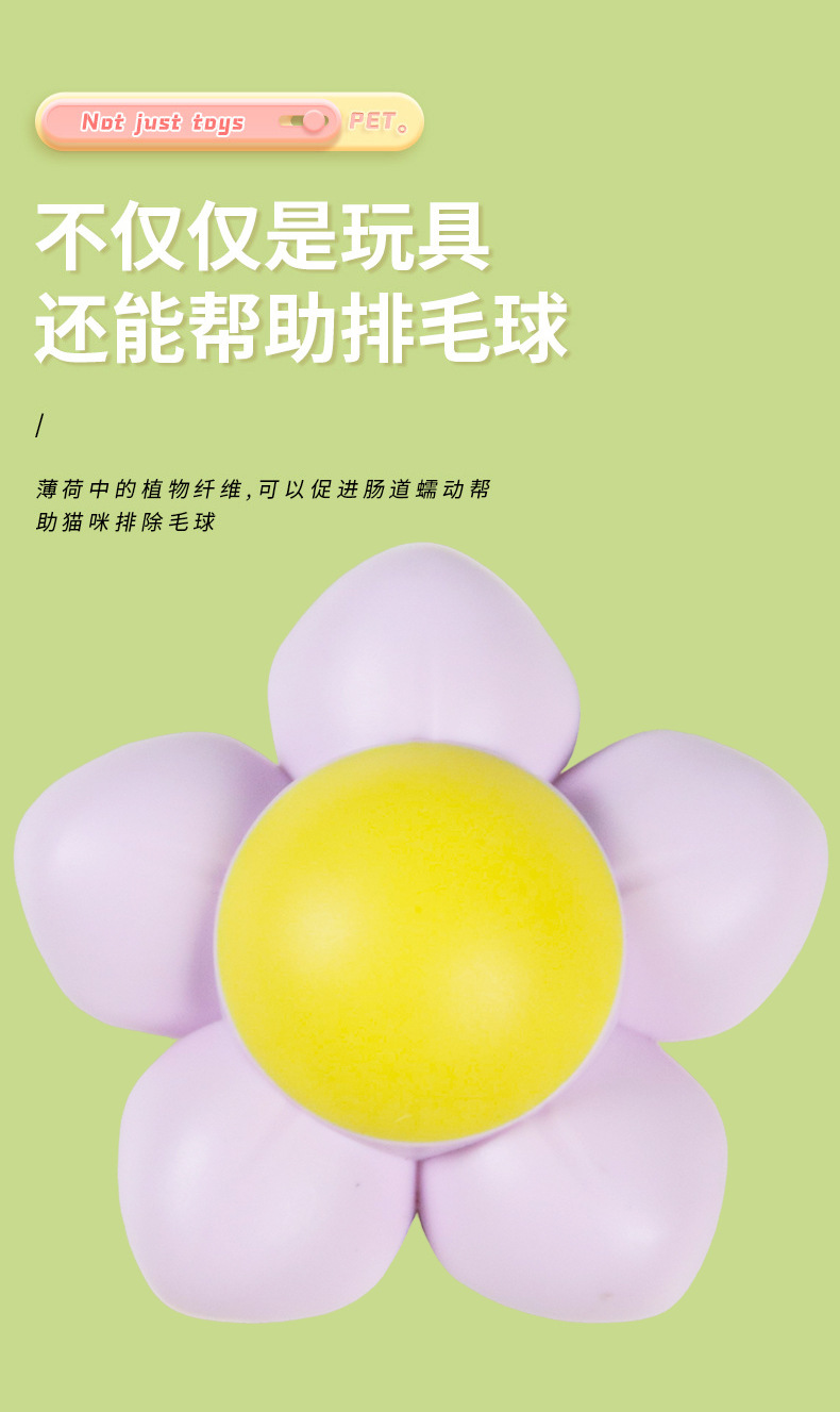 未标题-1_05