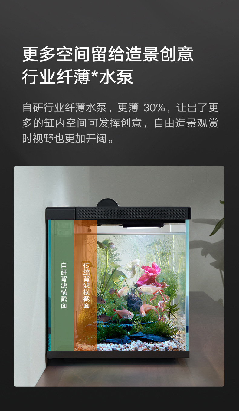 1cd710b9-dba5-4ff2-886b-87f72e536587.jpe