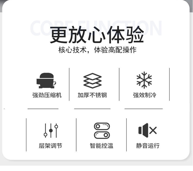 速冻柜小型.jpg