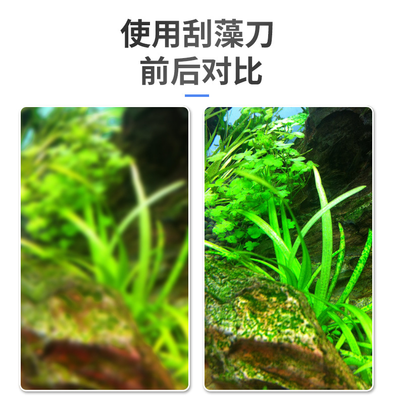 主图4