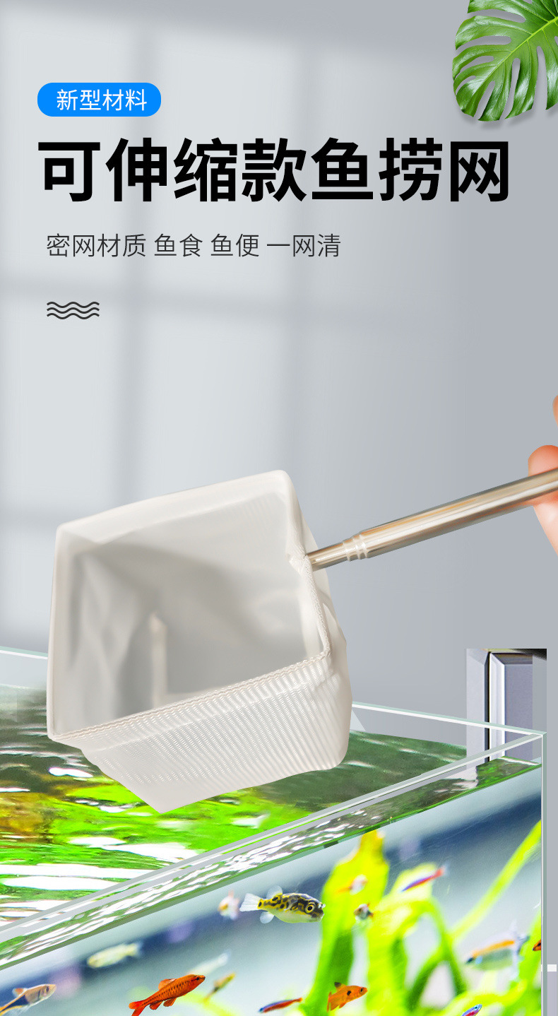 84311b87-4adf-43c5-99d8-1ef52e1ca388.jpe