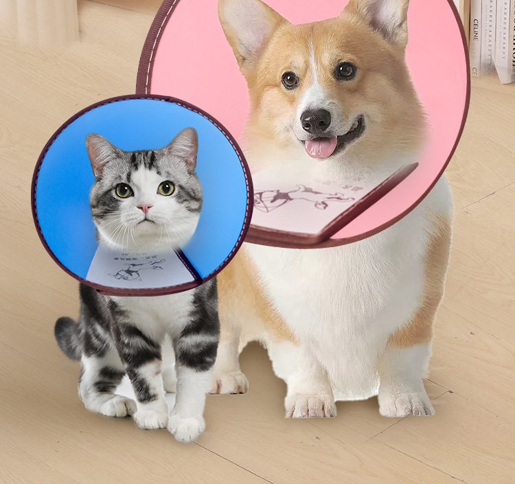 详情_02.jpg