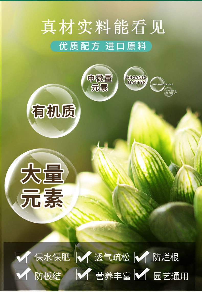 /O1CN018JAeA51NOzGi2QwOt_!!2218530501561-0-cib.jpg