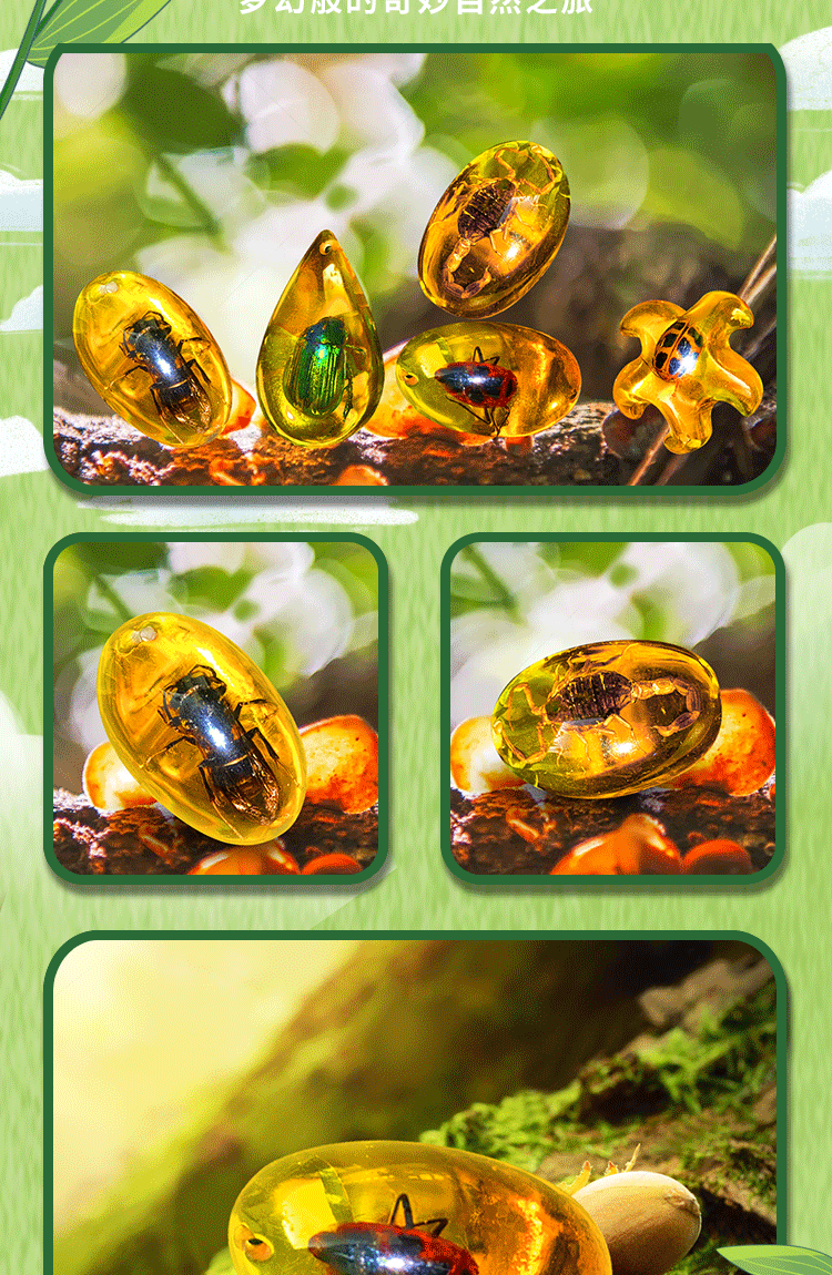 琥珀昆虫详情页_04.gif