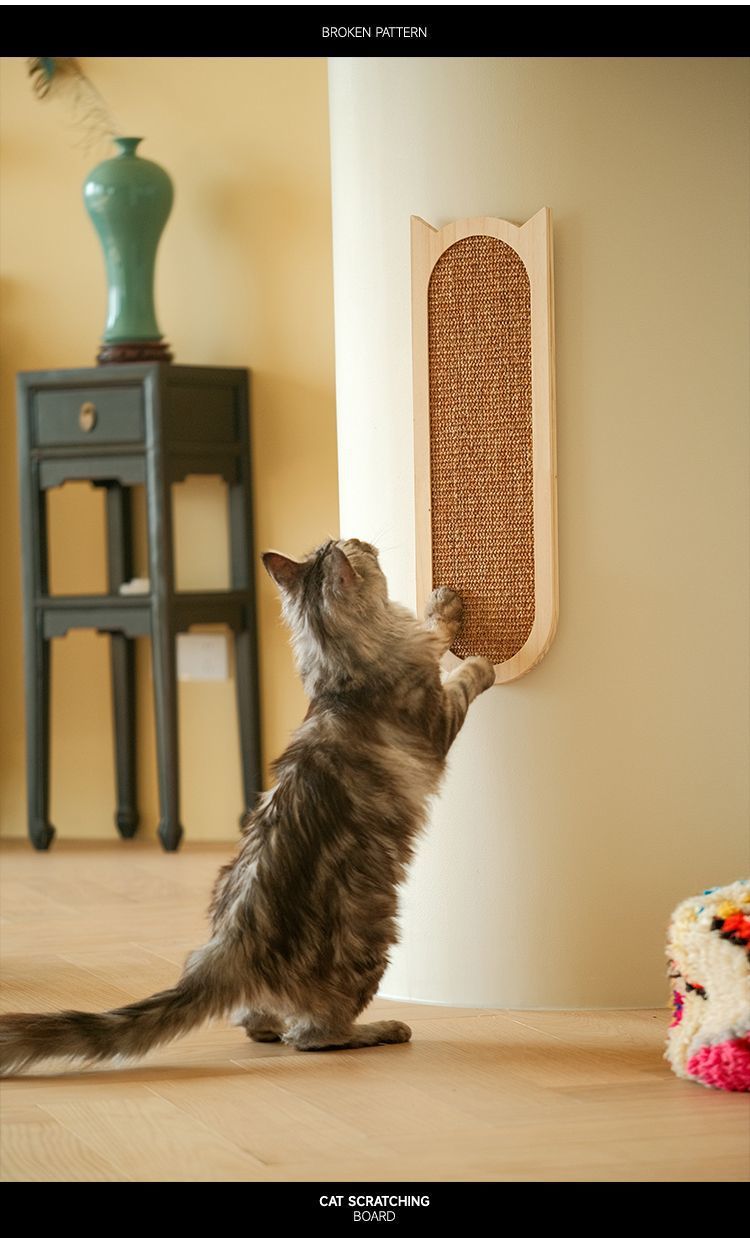 18aa05a8-ada3-4c74-86a5-ad06554ce2d2.jpe