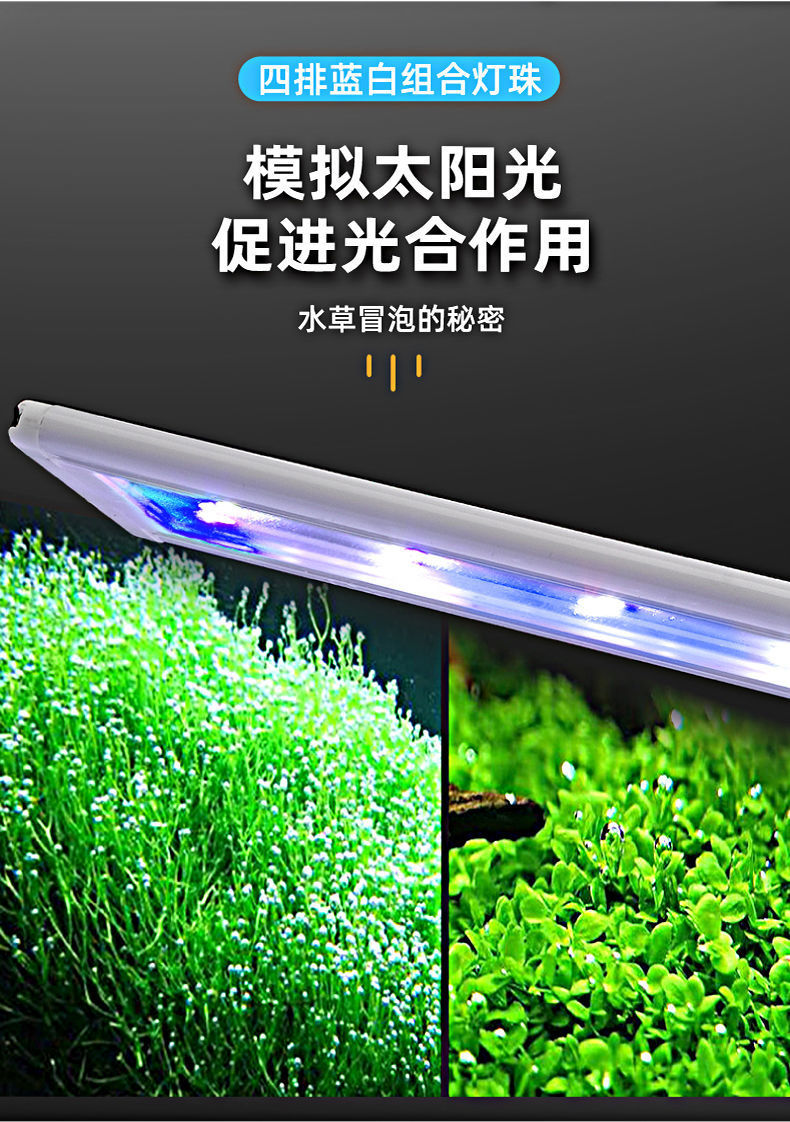 41828cad-f353-4580-ae10-992ce91a9c15.jpe