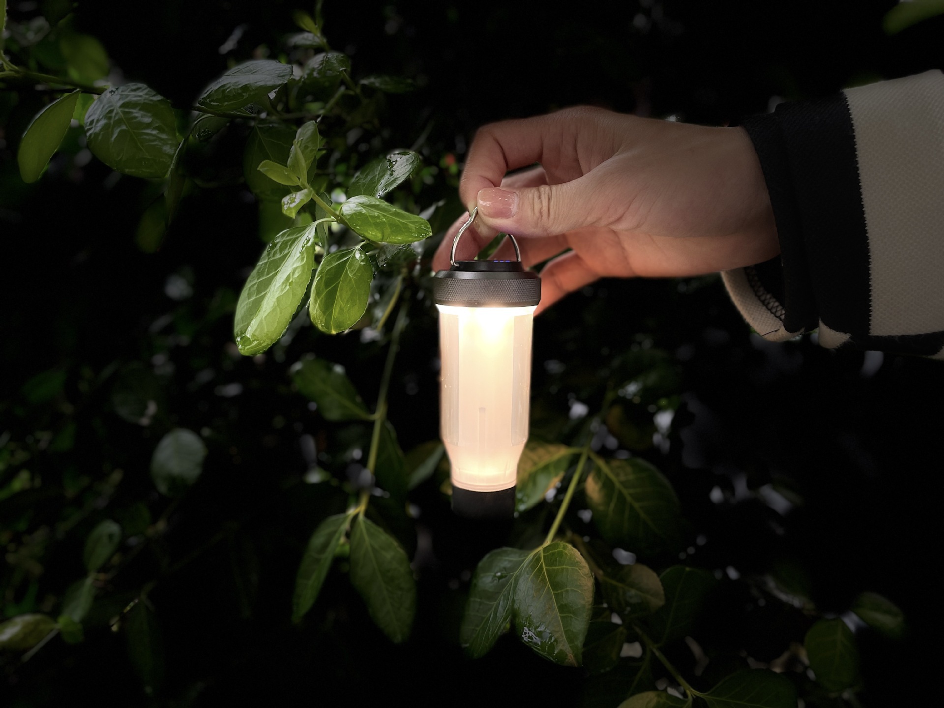 O1CN01zdZVMS1vw8hc8gfjU_!!2212