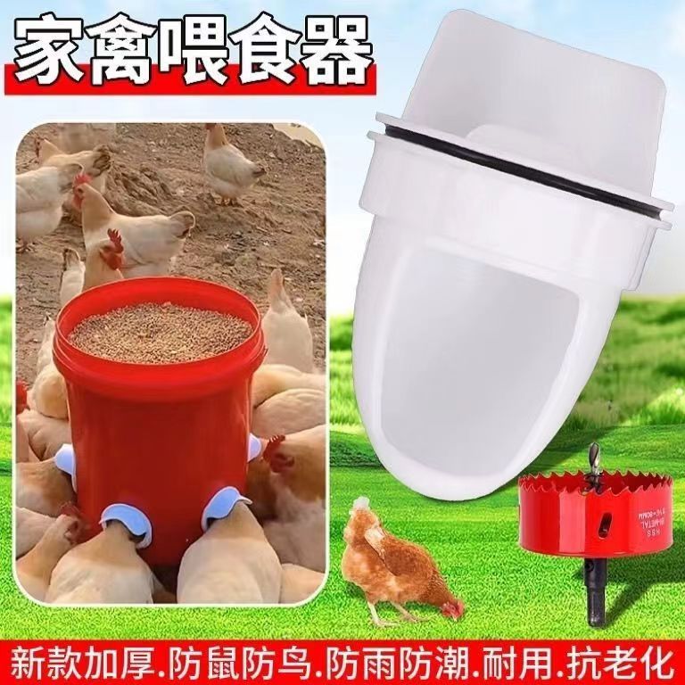 9a1c0474-bca5-46c7-bbcf-a7406a506643.jpe