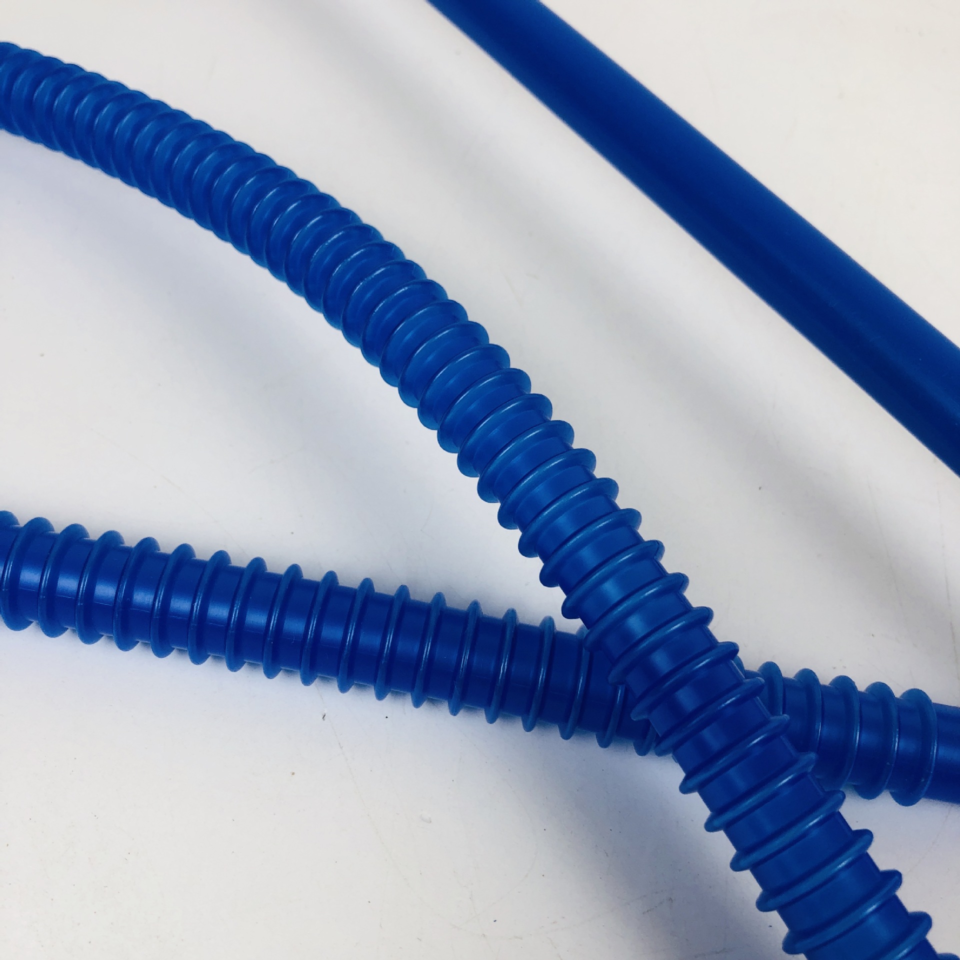 IMG_9893(20210624-111745)