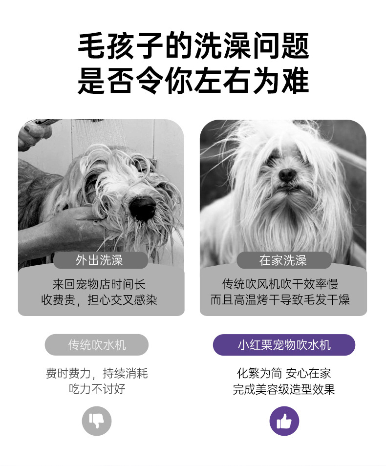 Pro吹水机详情 (3).jpg