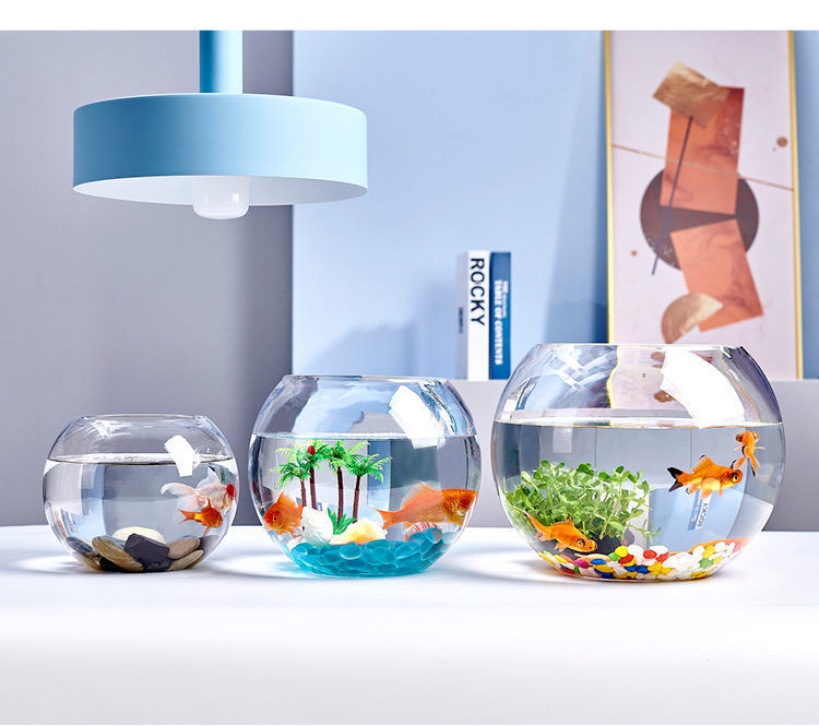 80d00ef1-ee8e-4748-9735-9ecbb9d40cfb.jpe