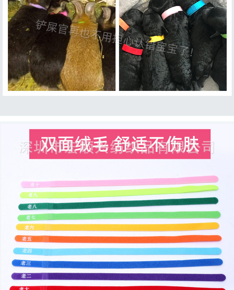 10色宠物圈详情_07.jpg