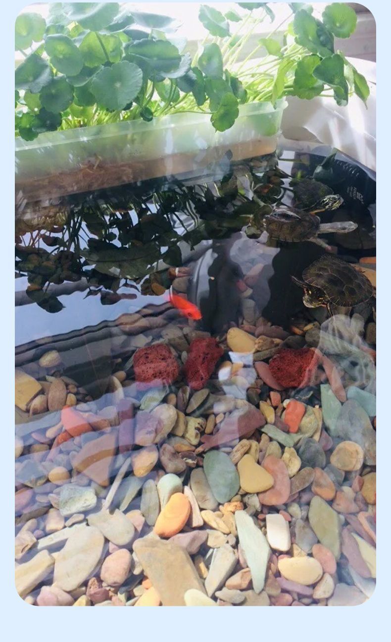 1787919a-9acb-4d20-80dd-95150b84ff95.jpe