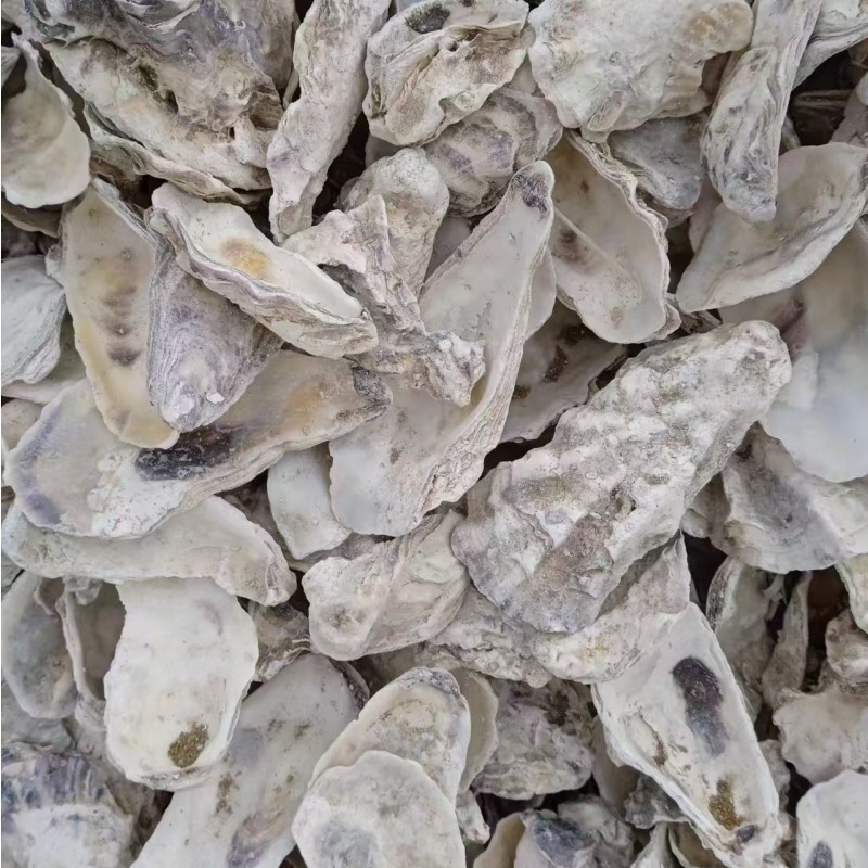 84ac3c8cf1456b88653948e6b745b8