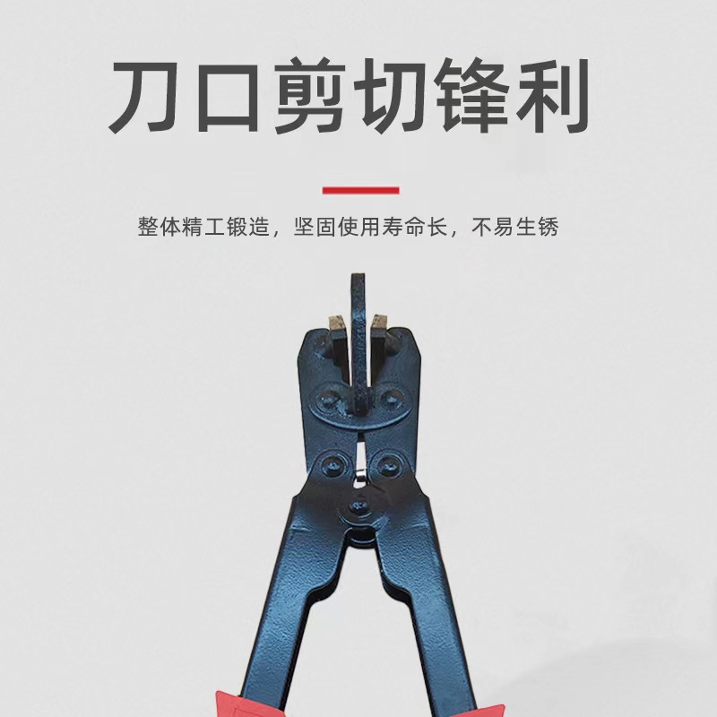 微信图片_202211021731348