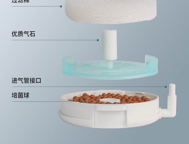 01a1a501-23dd-4fca-a480-6a381c4ed821.jpe