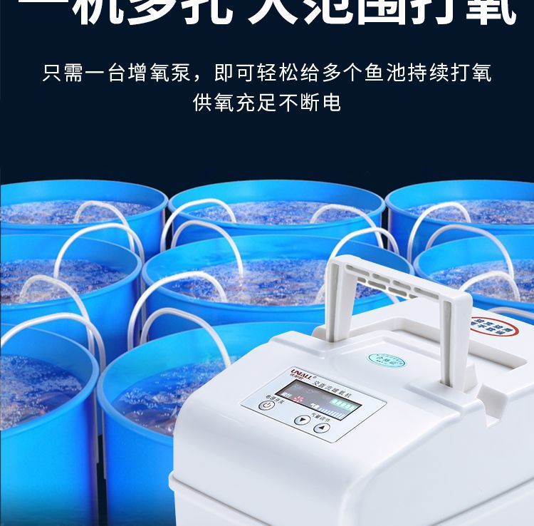 e4a53395-0fc3-4b16-950c-b73692962b52.jpe