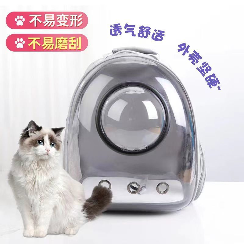 845c808e-c782-4098-bec4-260d2754ba4c.jpe