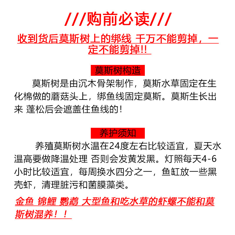 94436697-3252-45be-9367-ace207f707e7.jpe