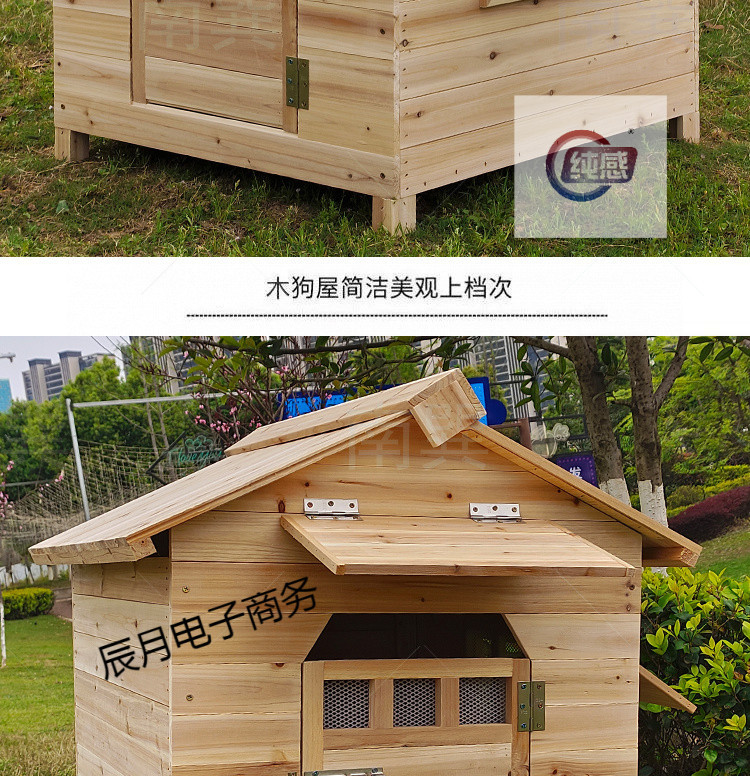 3ededb11-0b72-45de-9628-4cbdad0712f5.jpe