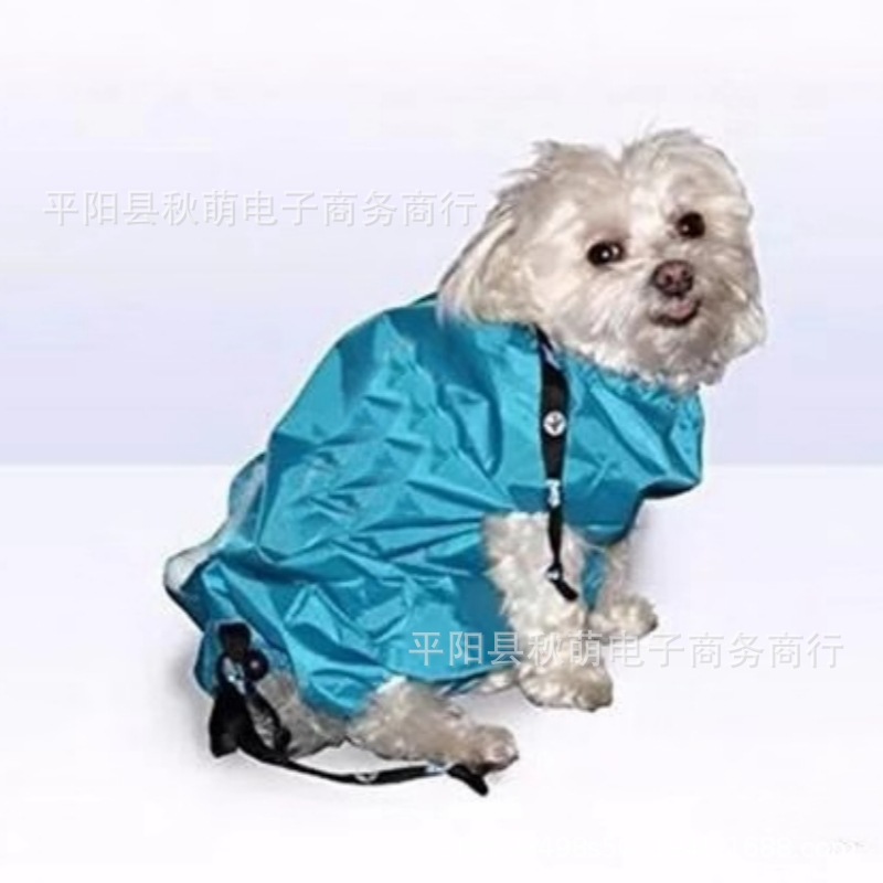 微信图片_20200904204818