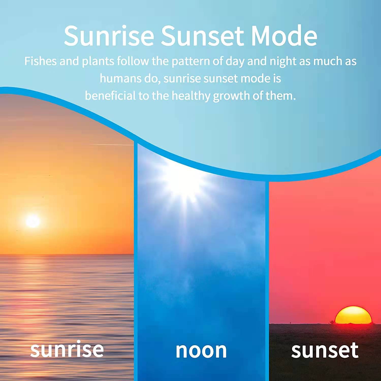 微信图片_20211220140110