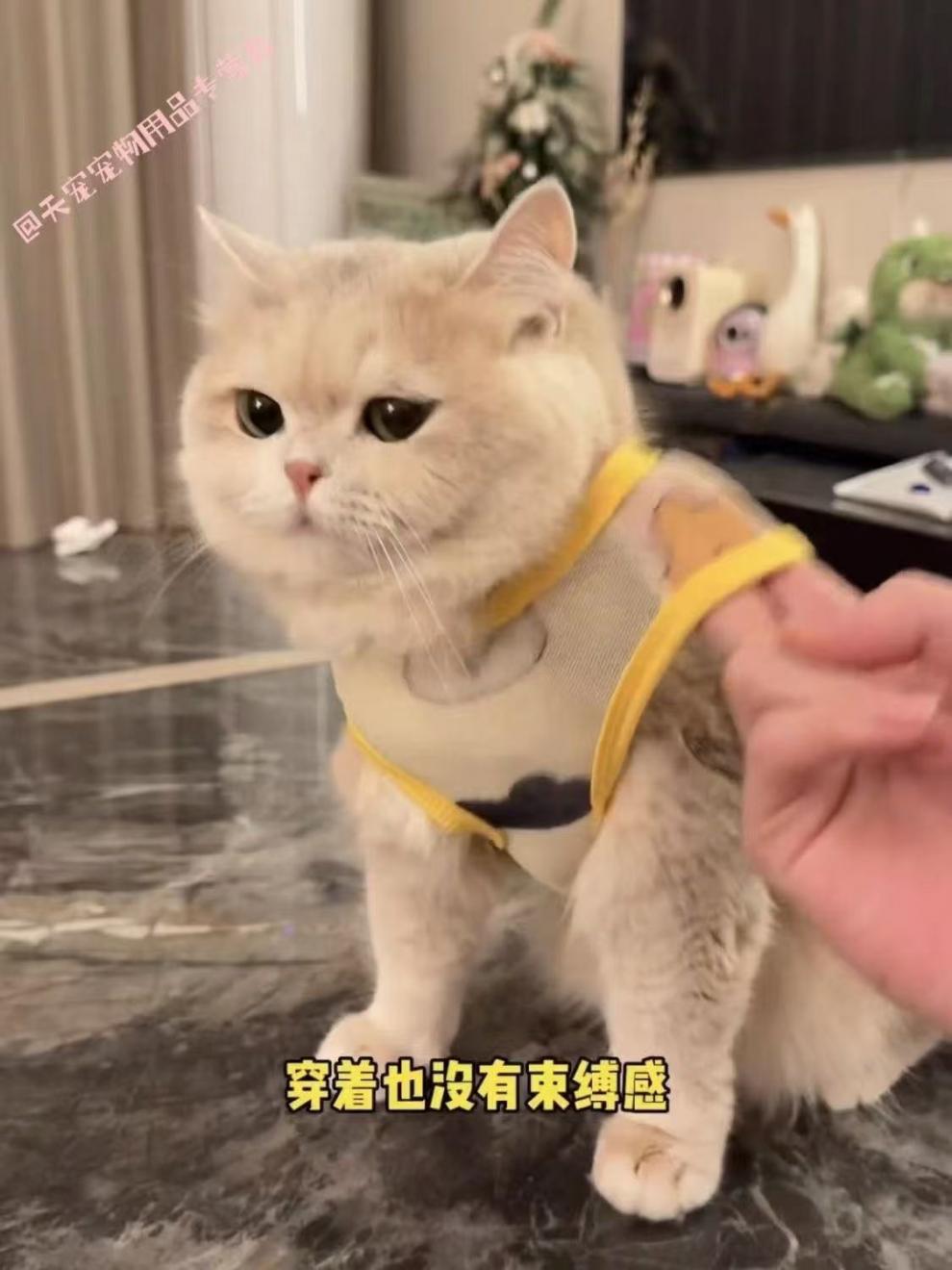 f1fc56cf-09d4-4bce-bbc2-4fbd83c85004.jpe