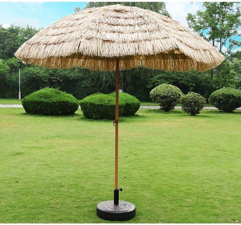 9d095c2d-9f19-4b31-86d8-7b06ab70b11c.jpe