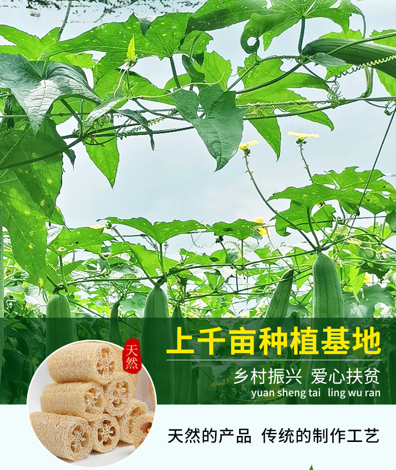 详情页_03.jpg