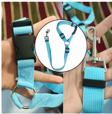 微信截图_20220929122602