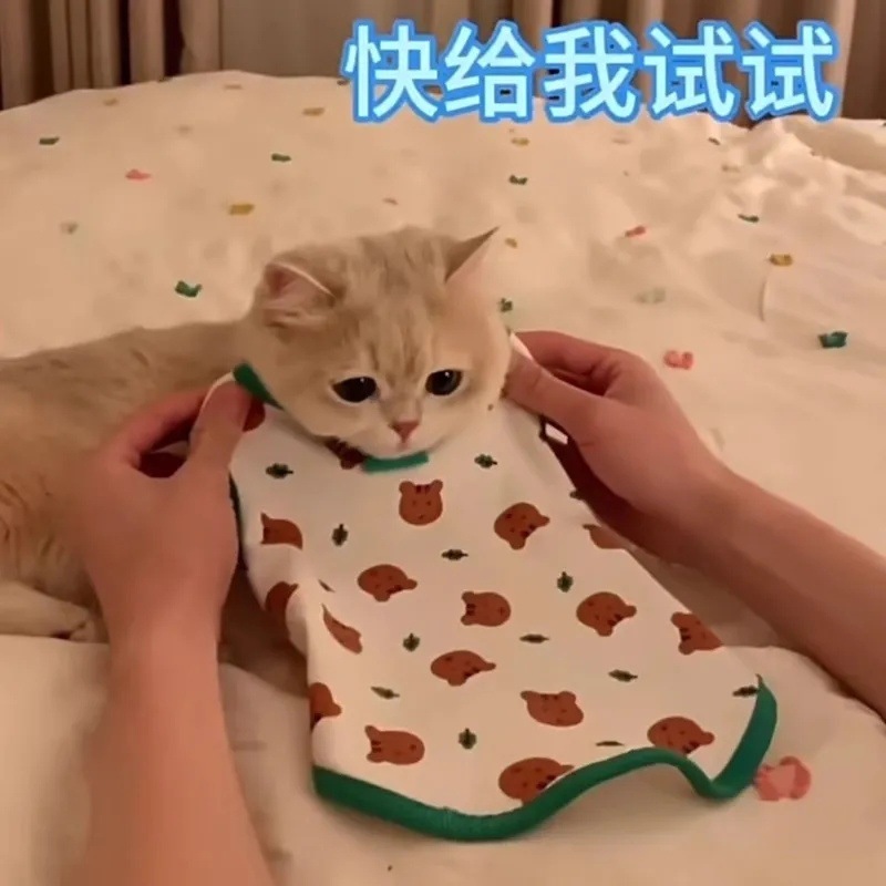 7a91c267-a22c-453d-8cb6-f8dda74c86ac.jpe