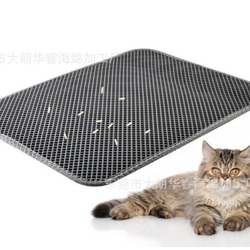 2025-05-30 10:39:10.jpg