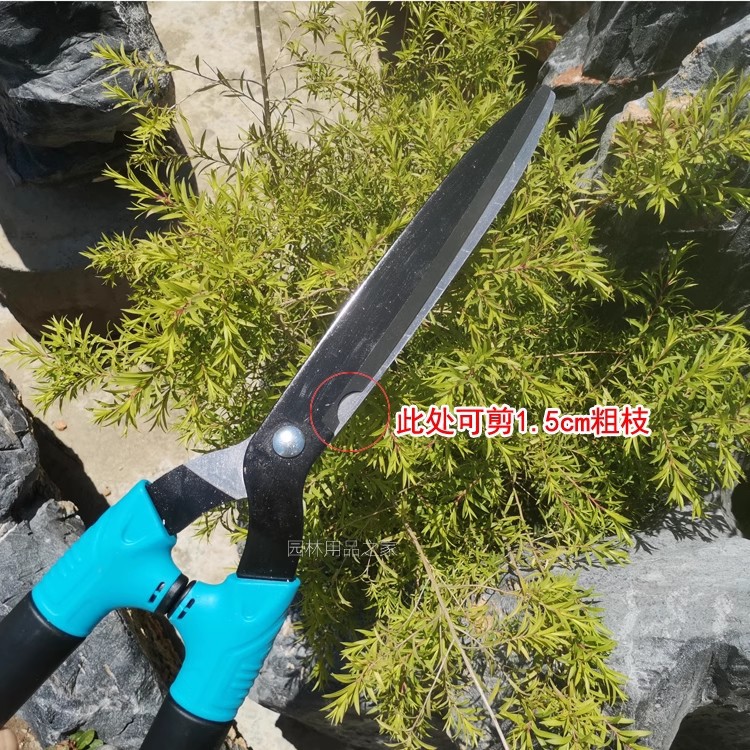 O1CN01Zx9vsc1S3ymKyOTTS_!!8051
