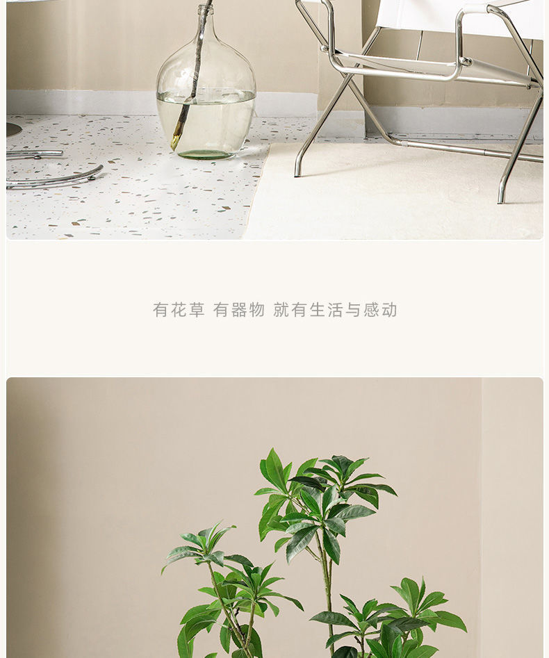 97e86b13-cb94-443a-b8e0-7e88d047d180.jpe