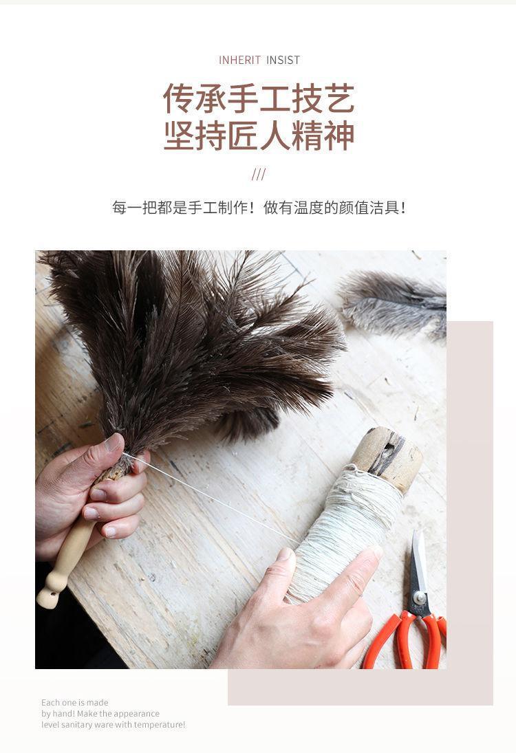 jpeg_m_b96d08ad621ad6fa08cb9cd