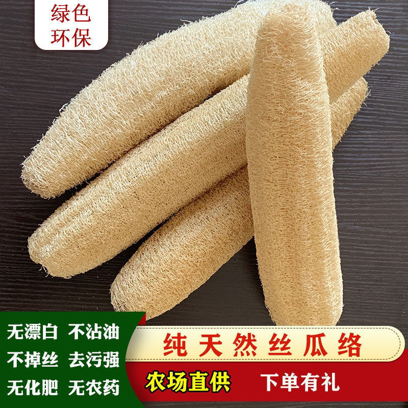 b1efaf51-d36e-4751-9089-9ca144594dc6.jpe