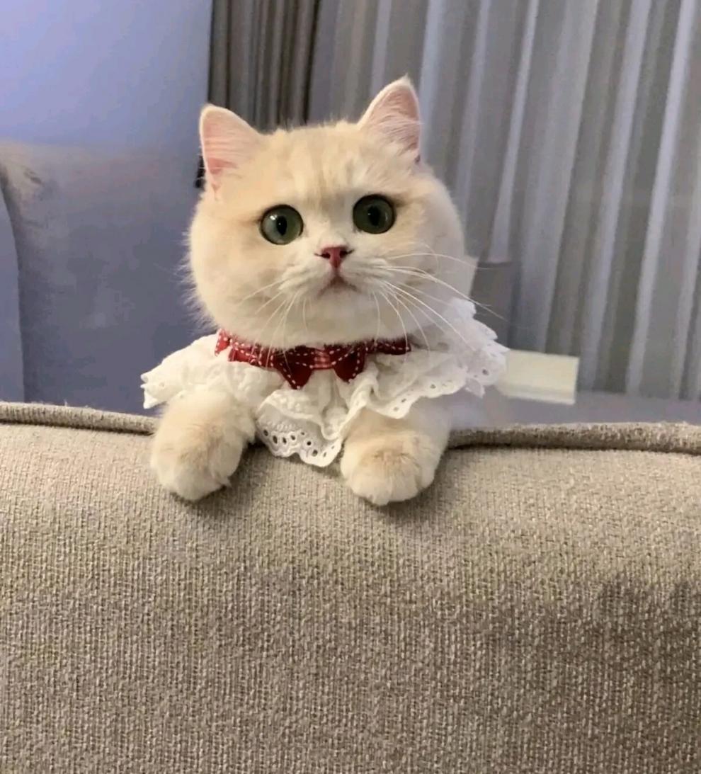 e0b423b9-6f9f-4531-a6be-24a64a16d34a.jpe