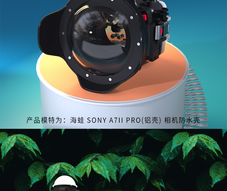 详情图片 (22).jpg