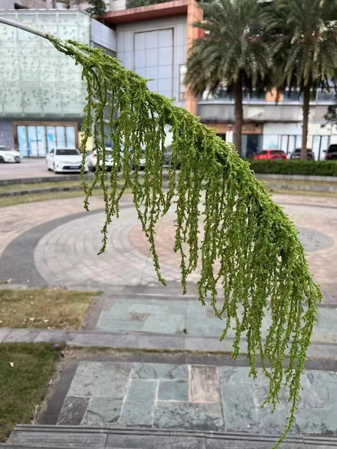 微信图片_20240811190253