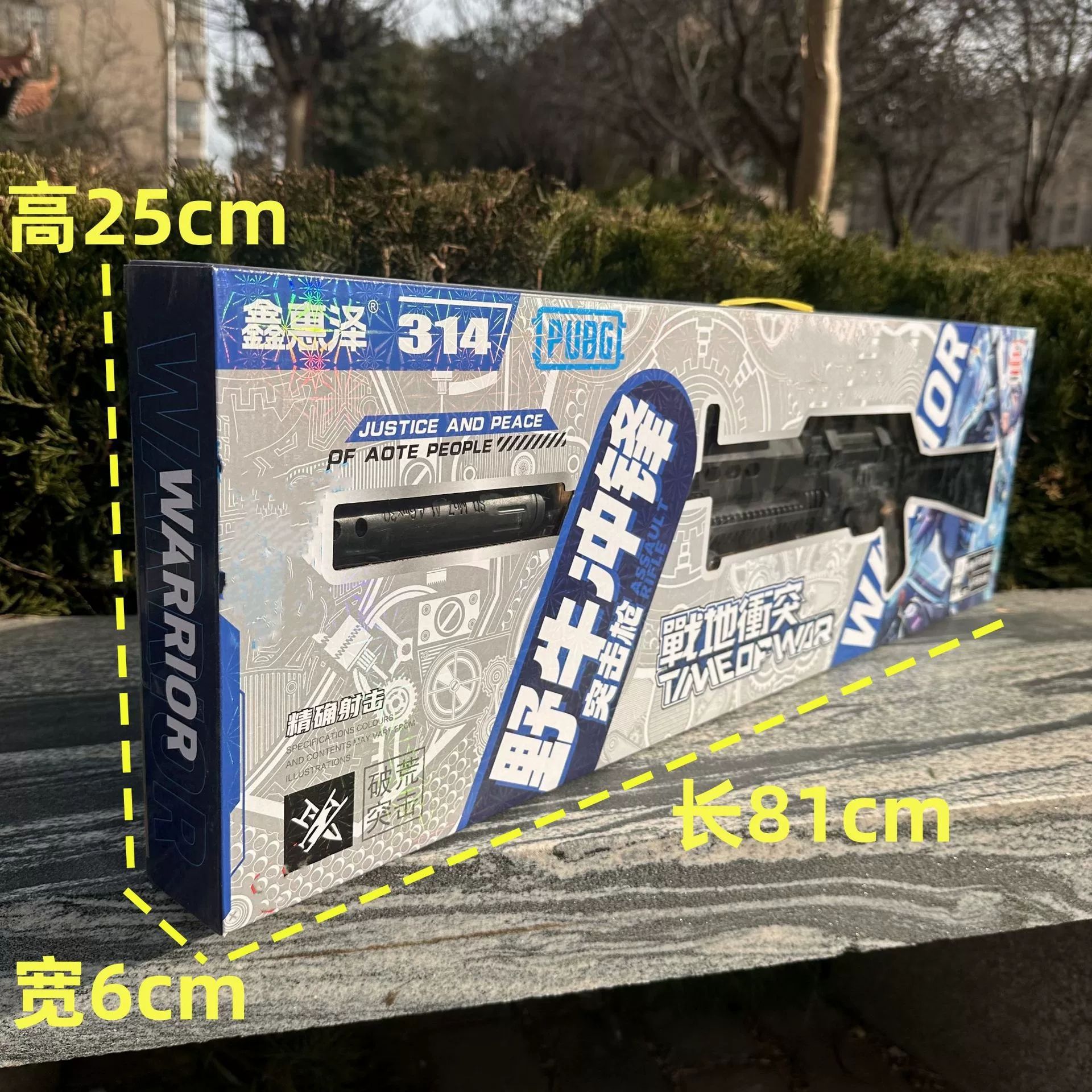 1739109810.jpg