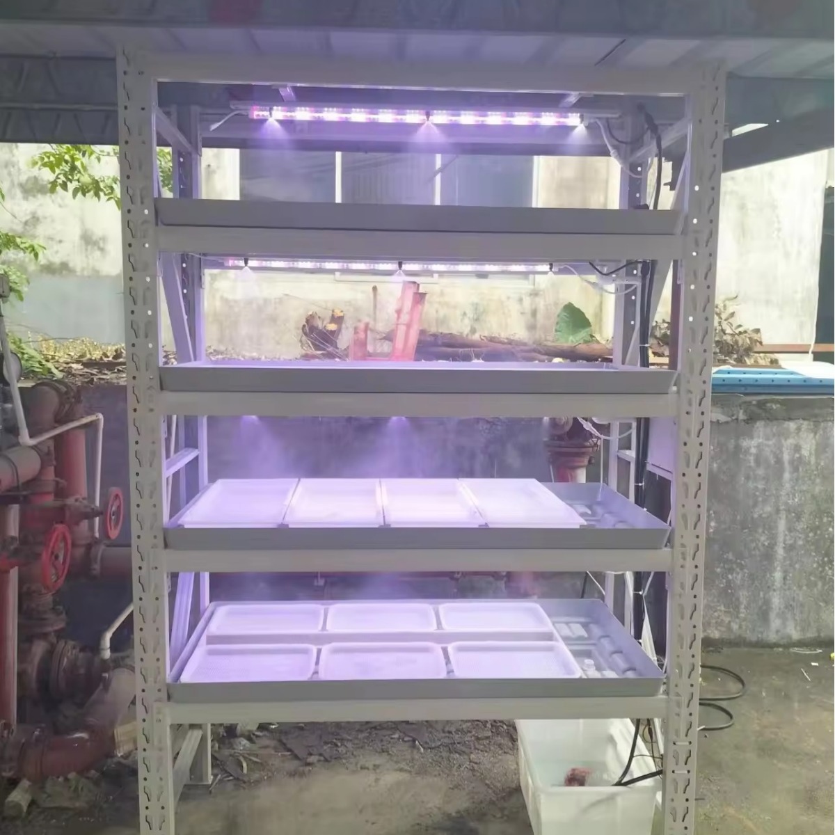 2024-04-25 21:11:06.jpg