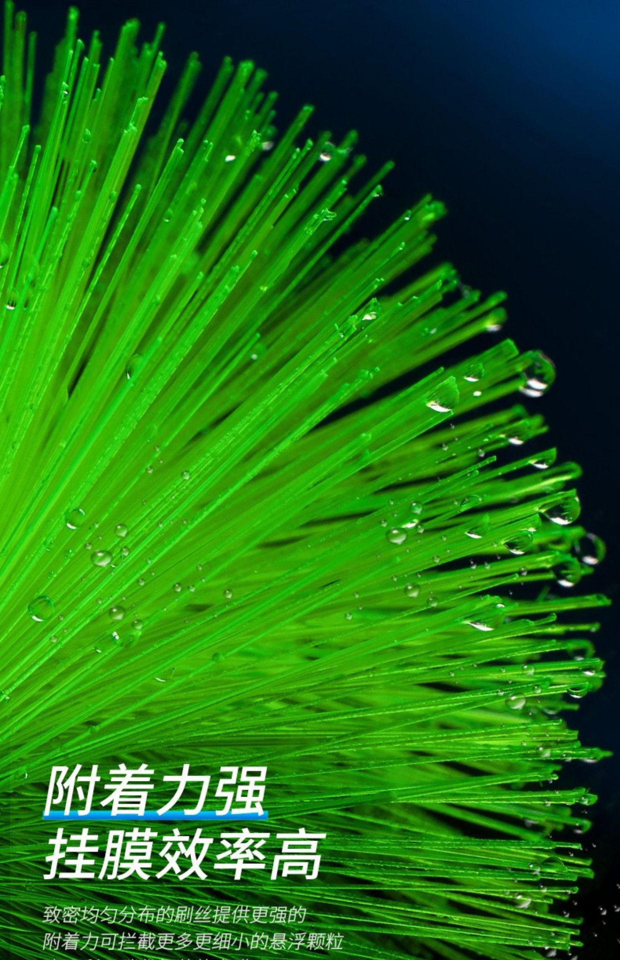 详情图片_12.jpg