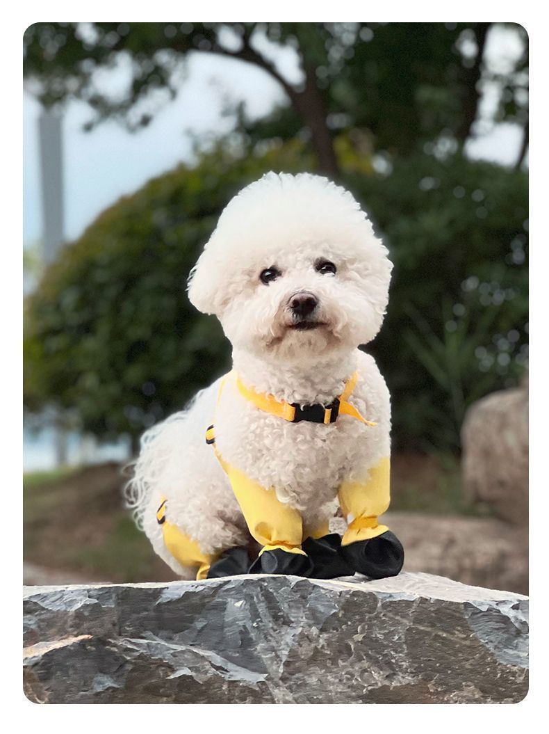 8ed2ae53-0ce7-4533-8bd8-727d316272f0.jpe